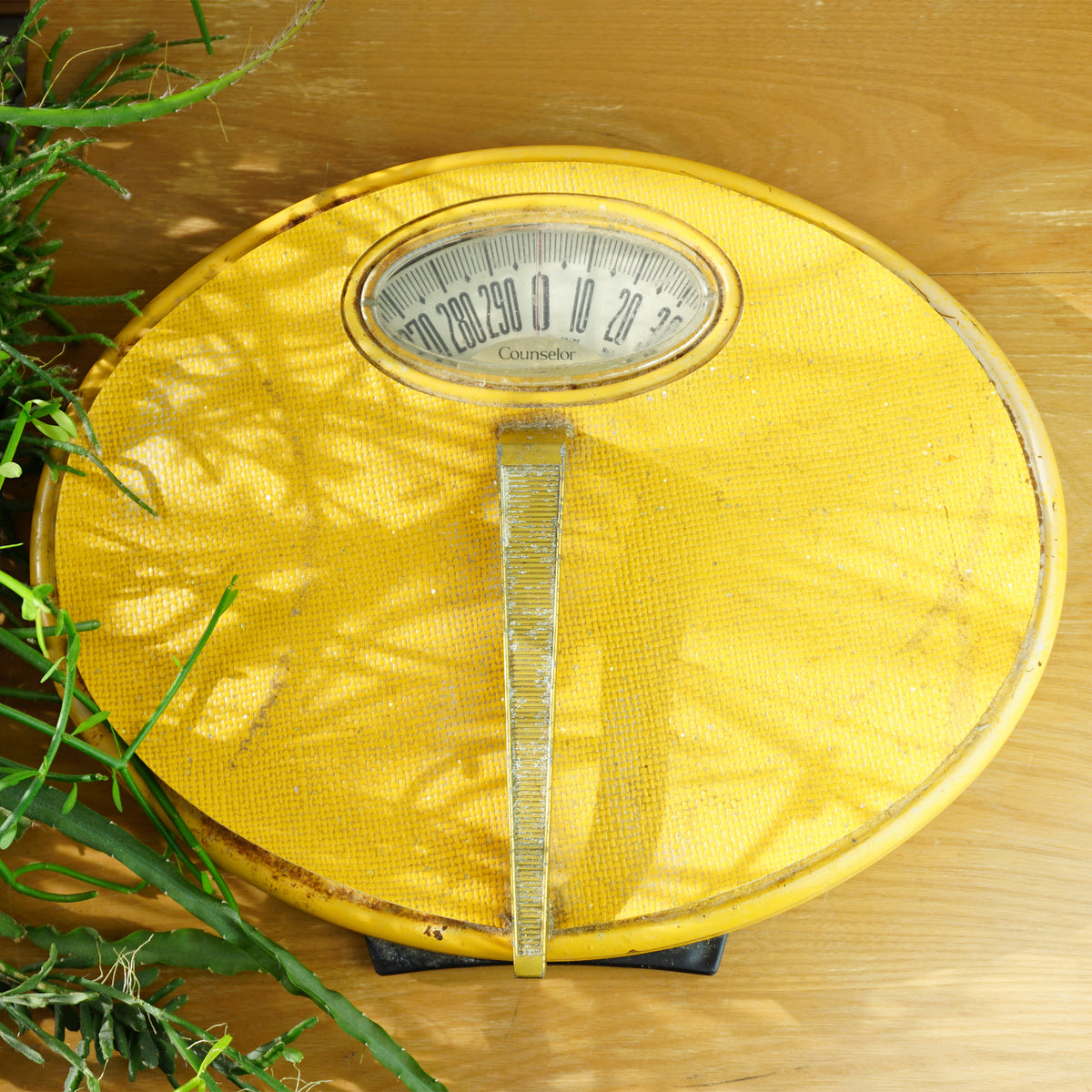 DSC02595_1200x1200.jpg?v=