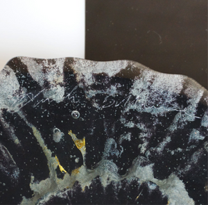 8.5" Brilliant Polished Ammonite Fossil Art. Signed by Artist.
