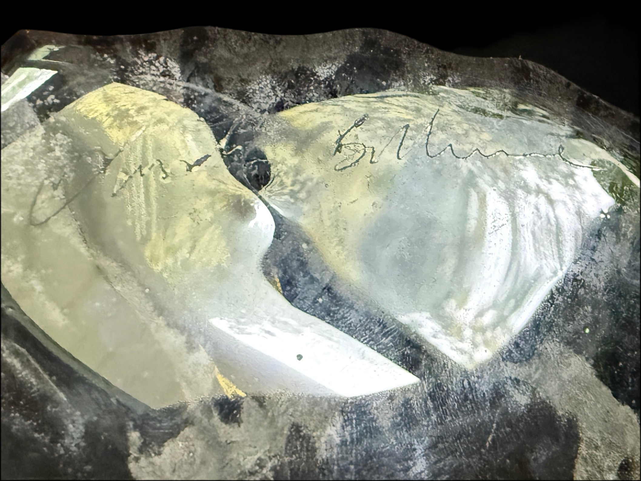 8.5" Brilliant Polished Ammonite Fossil Art. Signed by Artist.
