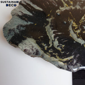8.5" Brilliant Polished Ammonite Fossil Art. Signed by Artist.