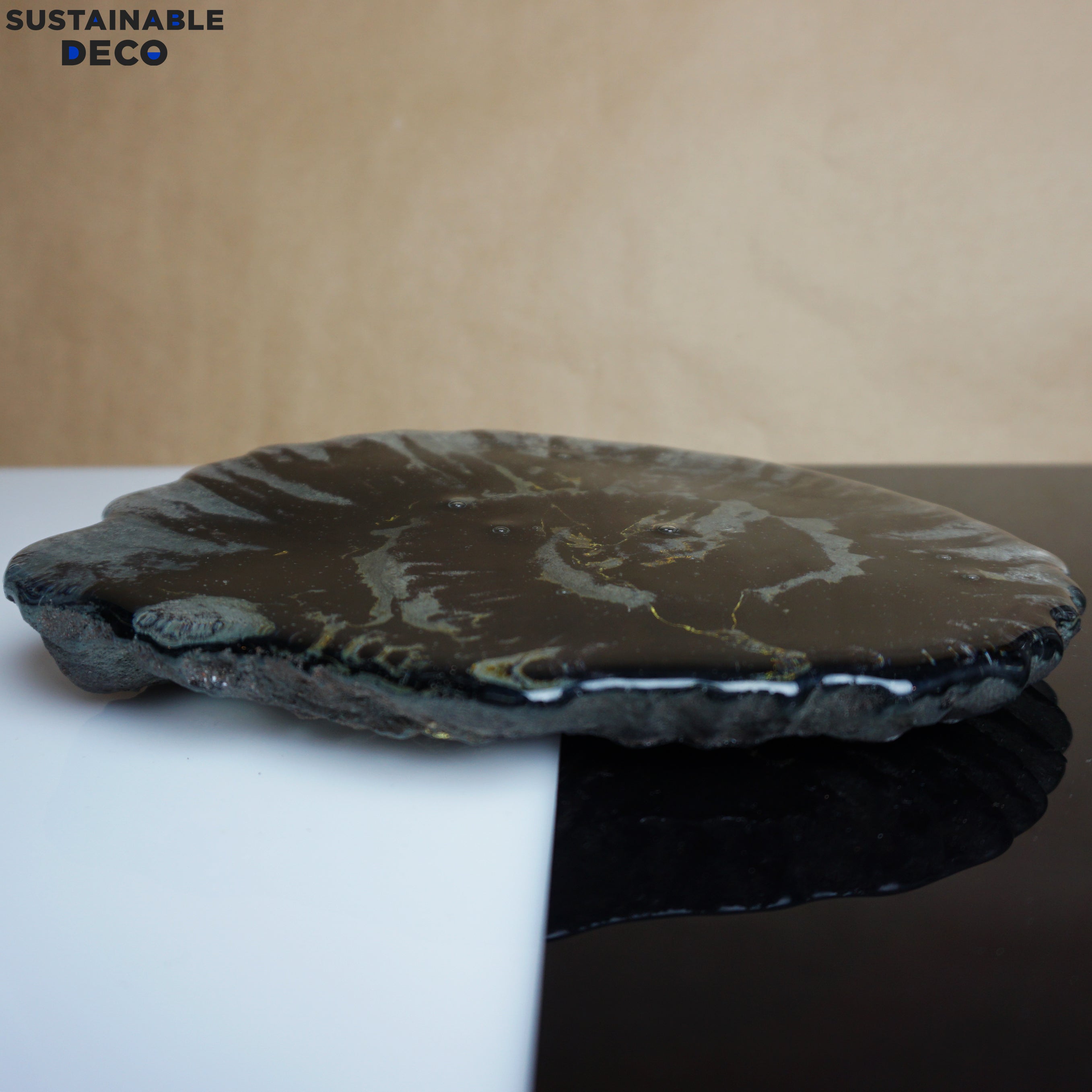 8.5" Brilliant Polished Ammonite Fossil Art. Signed by Artist.