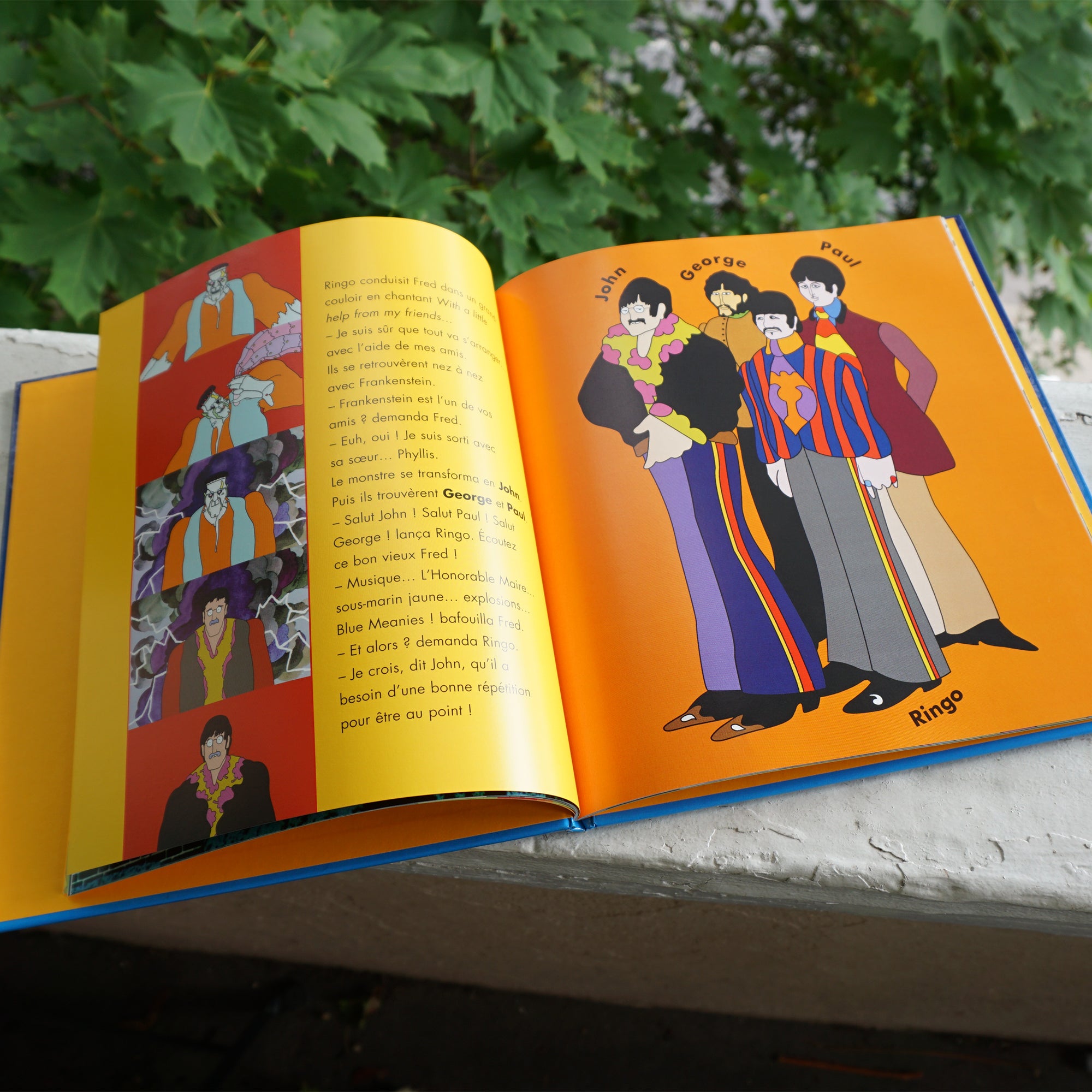 2004 DRAGOND'OR The Beatles Yellow Submarine Book by Paul McCartney in the French Language