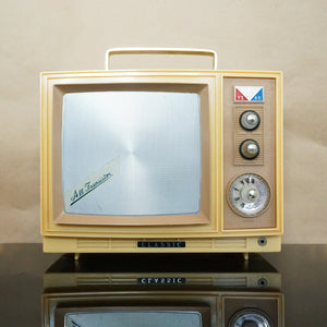 1960s Vintage Classic YS-60 TV Custom Built AM All Transistor Radio. Japan.