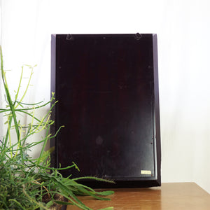 Large POTTERY BARN Spotted Faux-Bird Egg Shadow Box with Wooden Frame