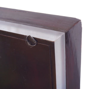 Large POTTERY BARN Spotted Faux-Bird Egg Shadow Box with Wooden Frame